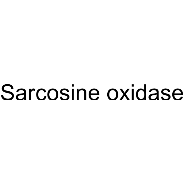 Sarcosine oxidase (SAO) 9029-22-5